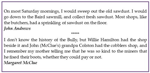 The Bully Stories
